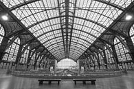Het Centraal Station in Antwerpen van MS Fotografie | Marc van der Stelt thumbnail