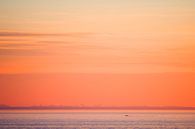 Vogels vliegend boven de Waddenzee tussen Lauwersoog en Schiermonnikoog tijdens zonsondergang van Marcel van Kammen thumbnail