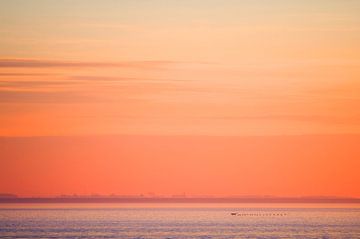 Vogels vliegend boven de Waddenzee tussen Lauwersoog en Schiermonnikoog tijdens zonsondergang van Marcel van Kammen