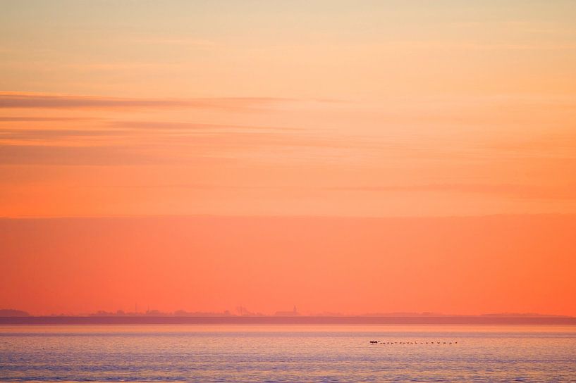 Vogels vliegend boven de Waddenzee tussen Lauwersoog en Schiermonnikoog tijdens zonsondergang van Marcel van Kammen