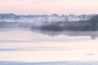  stilled fen