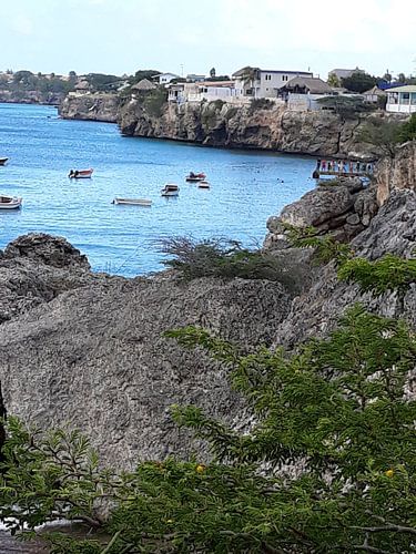 Uitzicht op tropische baai