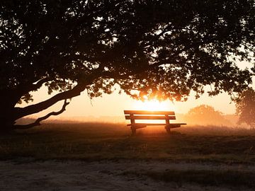 Lonely morning van Maaike Munniksma