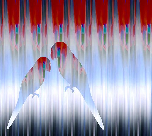 Papageien-Liebe .... 