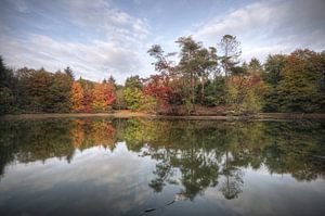 Landschap - Weerspiegeling von Angelique Brunas