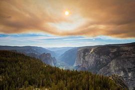 Yosemite National Park after a forest fire by Antwan Janssen