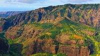 Hubschrauber-Blick über den Waimea Canyon, Kauai, Hawaii von Henk Meijer Photography Miniaturansicht