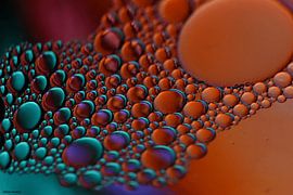 water droplets by Anita Verhaegh