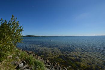 Am Ufer in der Goor, Insel Vilm, Lauterbach auf Rügen