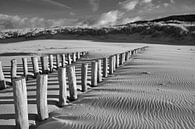 Stelzenköpfe am Strand von Domburg von Zeeland op Foto Miniaturansicht
