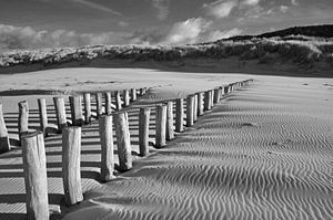 Stelzenköpfe am Strand von Domburg von Zeeland op Foto