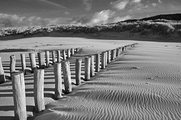 Paalhoofden op het strand bij Domburg van Zeeland op Foto