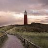Path to the lighthouse van Roelie Steinmann