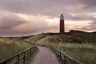 Path to the lighthouse par Roelie Steinmann Aperçu