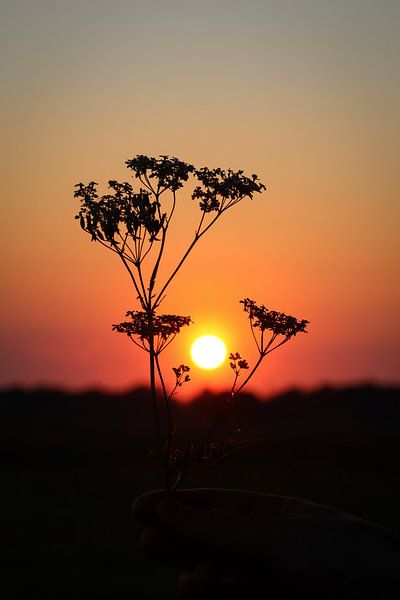 Un beau ciel avec un coucher de soleil par Debby Gelderloos