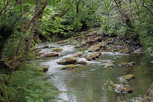 Fowley's Falls in Ierland