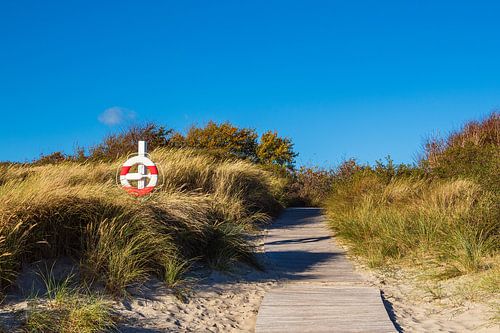 Oostzeekust bij Klintholm Havn in Denemarken