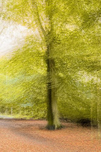 Renkums Beekdal part 7