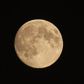 Volle maan by Ruud Lobbes