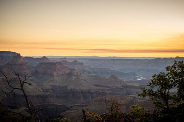 Grand Canyon bij zonsopkomst van Rick Massar
