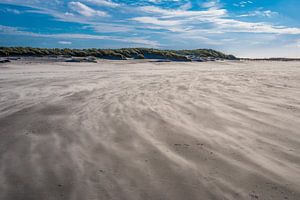 Windy path at the beach sur Marco Schep