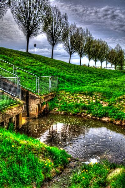 Arbres du canal de Dortmund par Edgar Schermaul