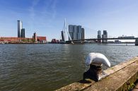 Rotterdamse skyline van Frank Herrmann thumbnail