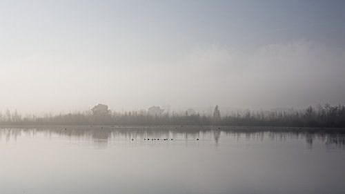 Ven dans le parc national de Groote Peel