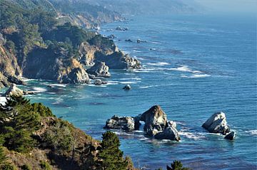 De kust van California van Lisanne Rodenburg
