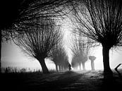 In the distance (b&w) by Lex Schulte thumbnail