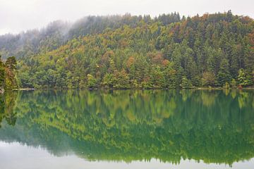 Le lac d'Alat en automne