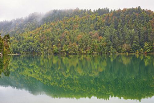 Alatsee in de herfst