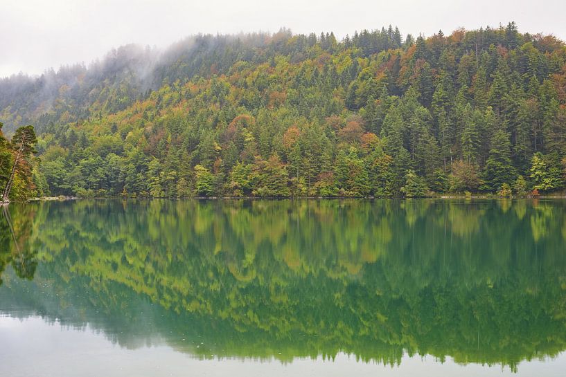 Alatsee in autumn by Walter G. Allgöwer