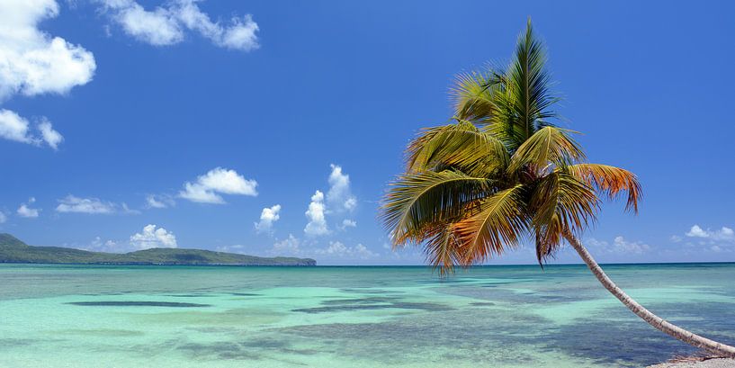 Le rêve des Caraïbes par Bettina Schnittert