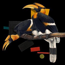 Buceros Bicornis von Marja van den Hurk