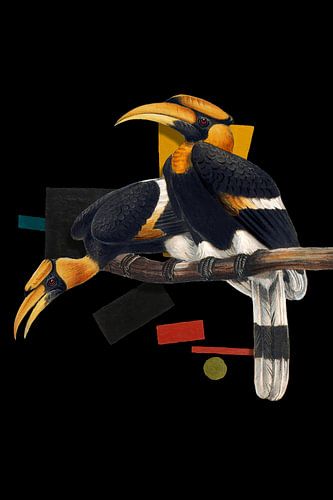 Buceros Bicornis von Marja van den Hurk