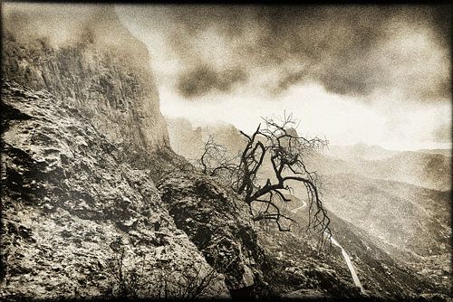 La Gomera