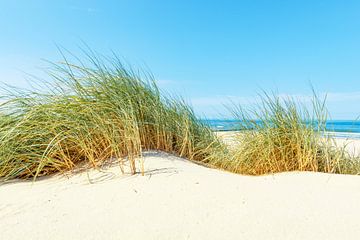 Duinen op het strand met helmgras tijdens een mooie zomer dag van Sjoerd van der Wal