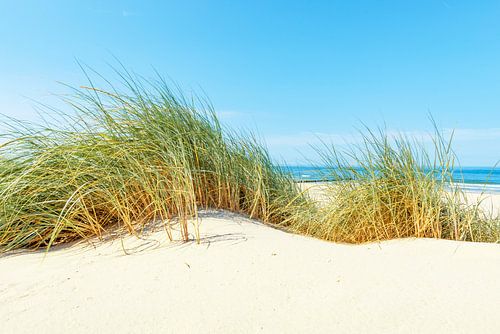 Duinen op het strand met helmgras tijdens een mooie zomer dag
