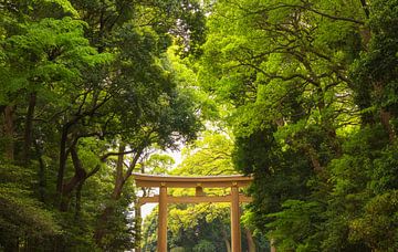 Parc Yoyogi - Tokyo (Japon) sur Marcel Kerdijk