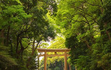 Yoyogi-Park - Tokio (Japan) von Marcel Kerdijk