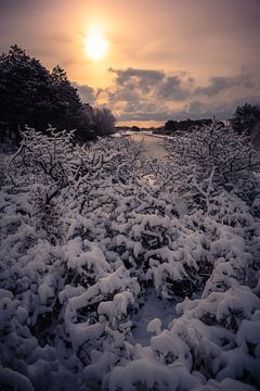 Winterlandschap in de duinen van Nederland van Jolanda Aalbers