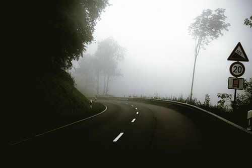 Winding Road in Foggy Forest