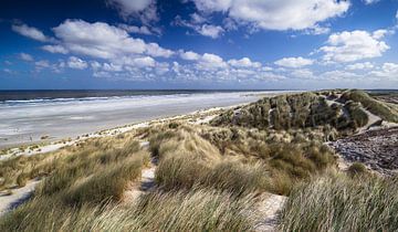 Uitzicht vanuit de Duinen op Terschelling: Zonnige Dag vol Natuurlijke Schoonheid van Hevonax Photography