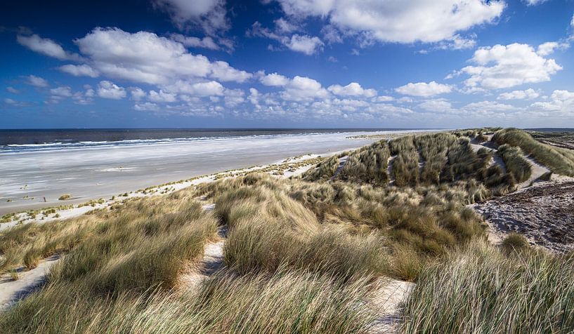 Blick von den Dünen auf Terschelling: Sonniger Tag voller Naturschönheiten von Hevonax Photography