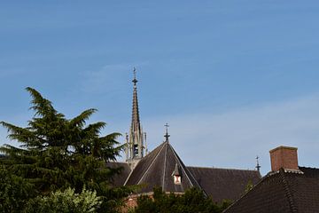 Sint-Odulphuskerk_best_lower top_0474