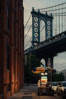 Street food and Brooklyn flair in front of the iconic bridge