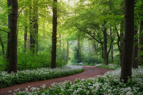 Auf dem Weg zum Frühling