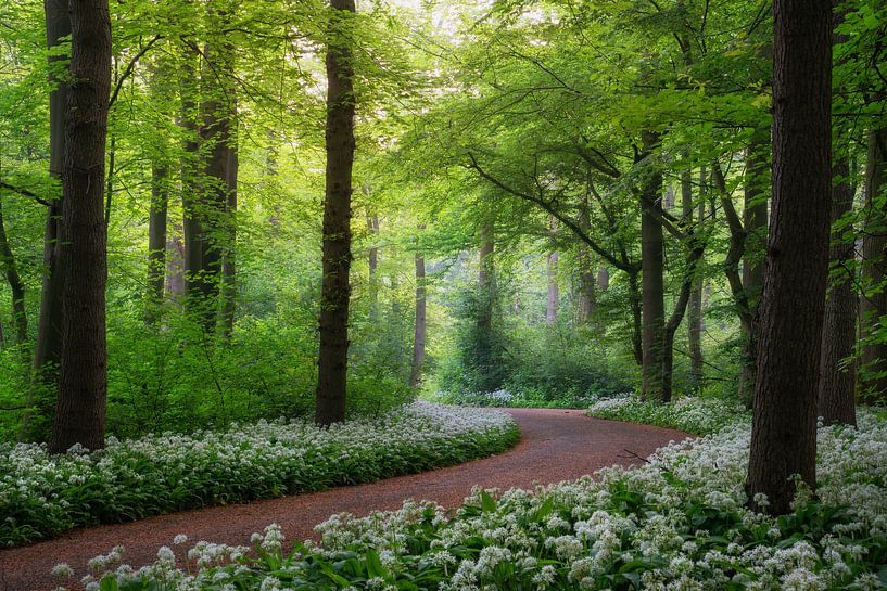 Op weg naar de lente van Martin Podt