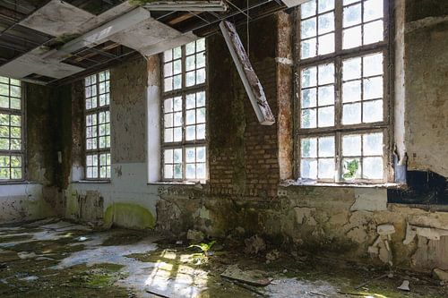 Espace expiré Kent School